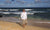 The Ultimate Guide for a Long Sleeve Aloha Shirt - Aloha Shirts Club