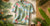 How to Pack Hawaiian Shirts Without Wrinkles: Travel Tips