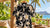 Printed aloha shirt hanging on a wooden hanger near an open window