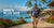 Men’s Plus Size Hawaiian Shirts Guide