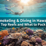 Snorkeling & Diving in Hawaii: Top Reefs and What to Pack