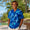 Men’s Hawaiian Shirts Made in Hawaii – Authentic Aloha Shirts